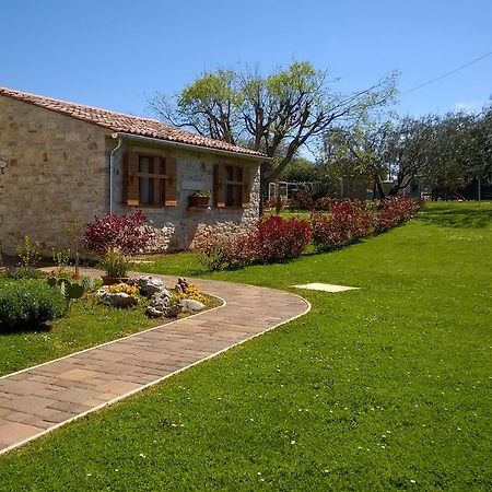 Holiday House Sweet Home Умаг Экстерьер фото