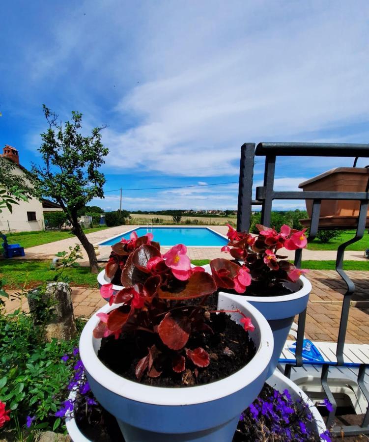 Holiday House Sweet Home Умаг Экстерьер фото